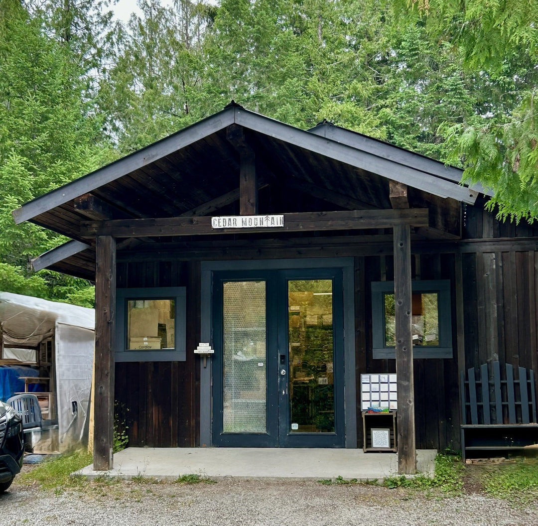 Behind the Scenes at Cedar Mountain Studios