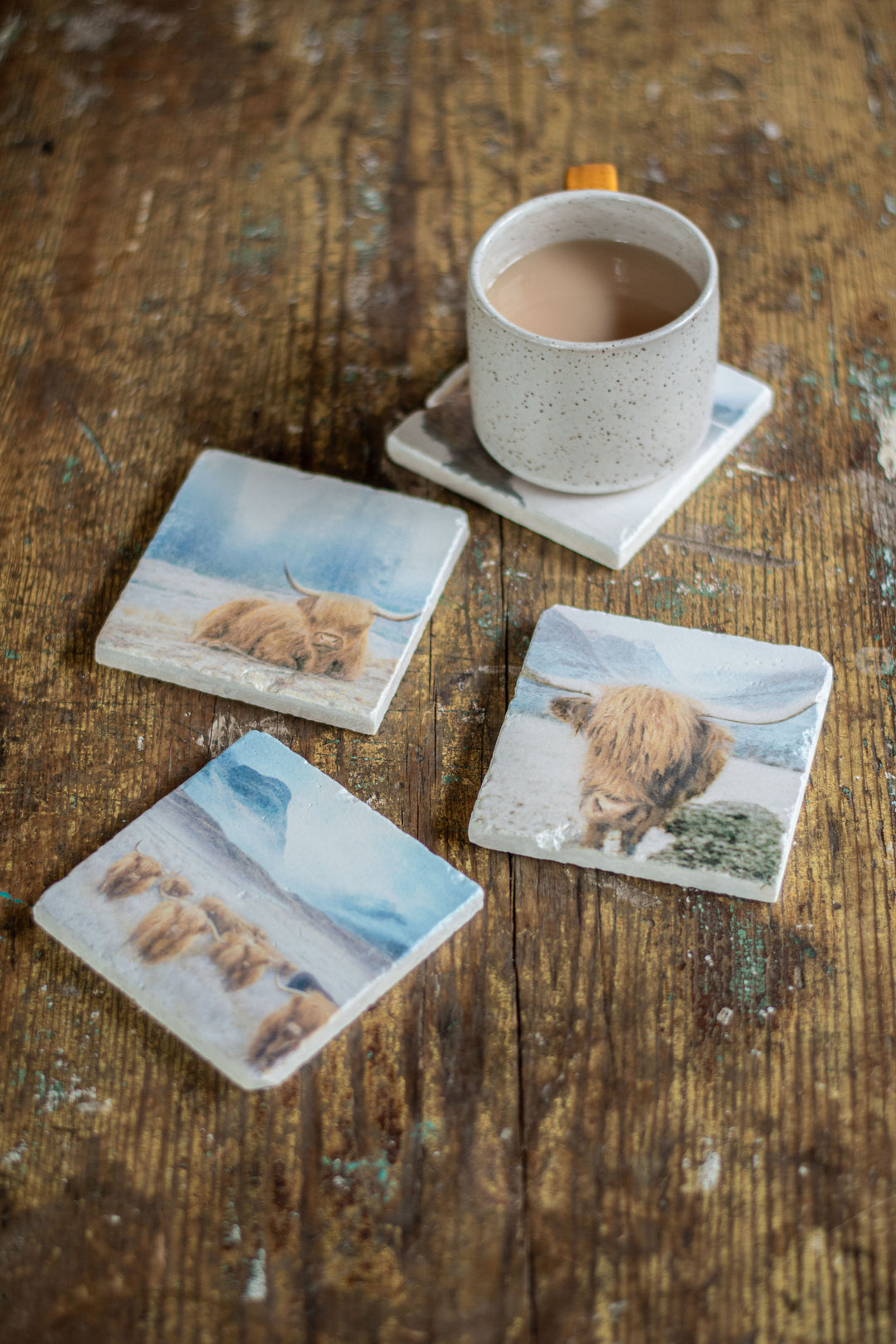 Marble Coasters - Highland Wading