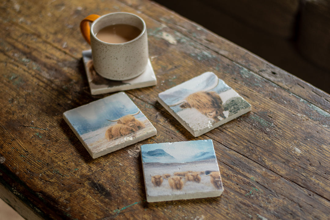 Marble Coasters - Highland Wading