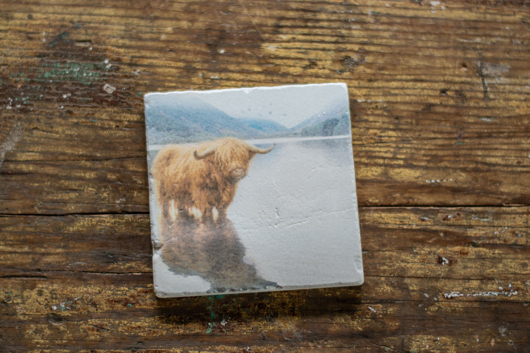 Marble Coasters - Highland Wading