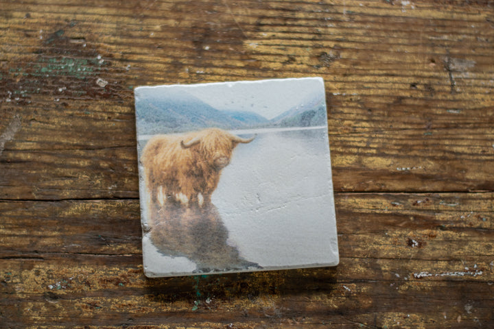 Marble Coasters - Highland Wading
