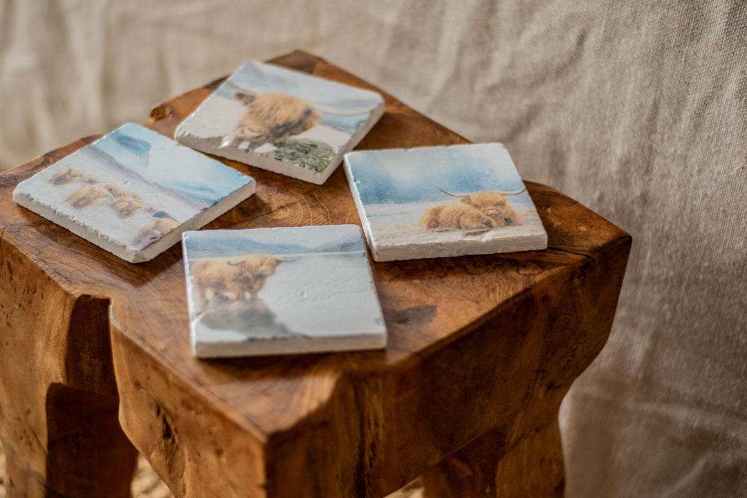 Marble Coasters - Highland Wading