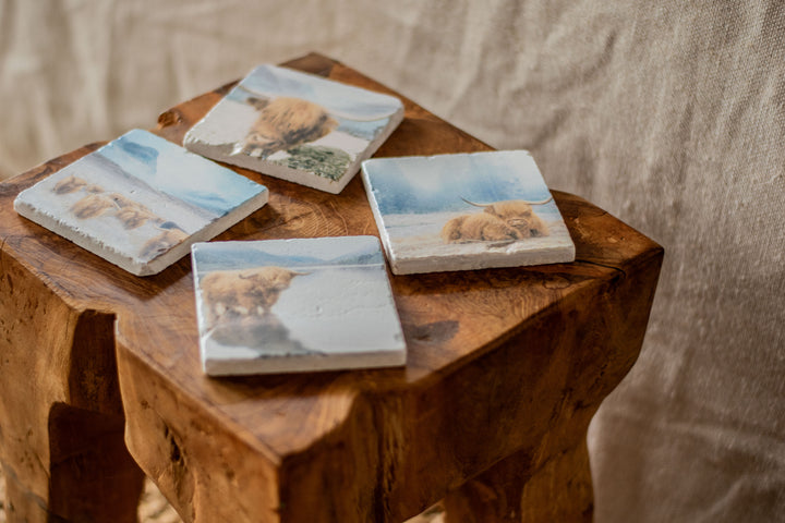 Marble Coasters - Highland Wading