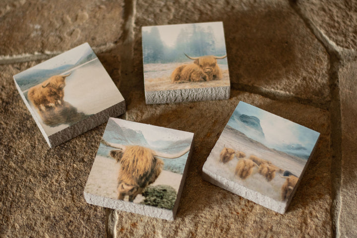 Art Block - Lost & Found - Highland Wading