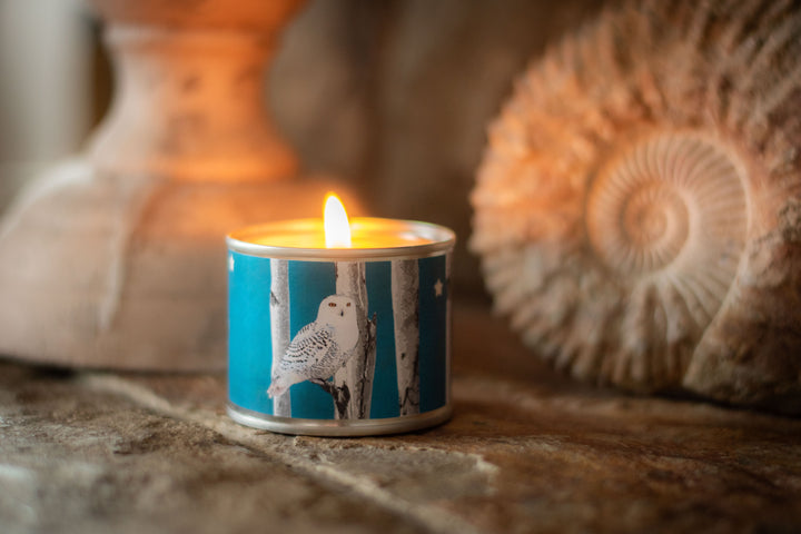 Lost & Found Candle - Snow Owl