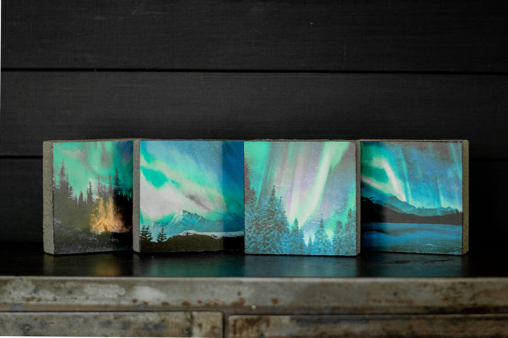 Art Block - Lost & Found - Aurora Trees