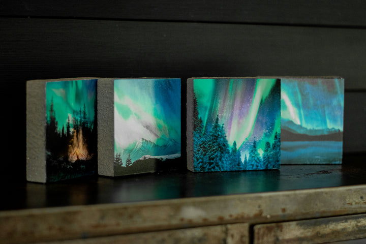 Art Block - Lost & Found - Aurora Trees