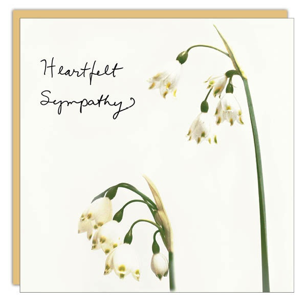 Gift Enclosure - Lost & Found - Heartfelt Sympathy