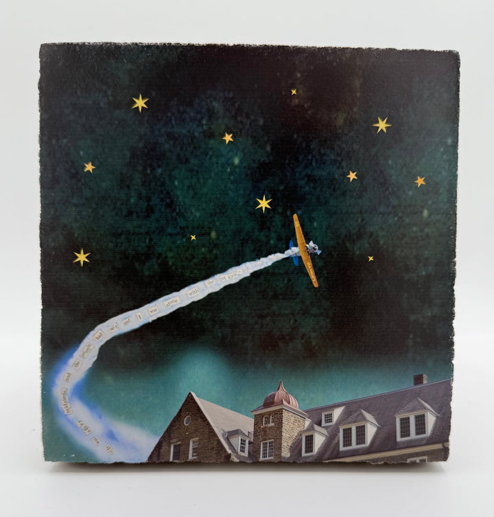 Art Block - Lost & Found - Alone with the Stars - Cedar Mountain Studios