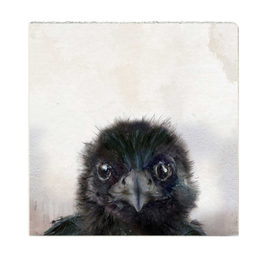 Art Block - Lost & Found - Baby Crow - Cedar Mountain Studios