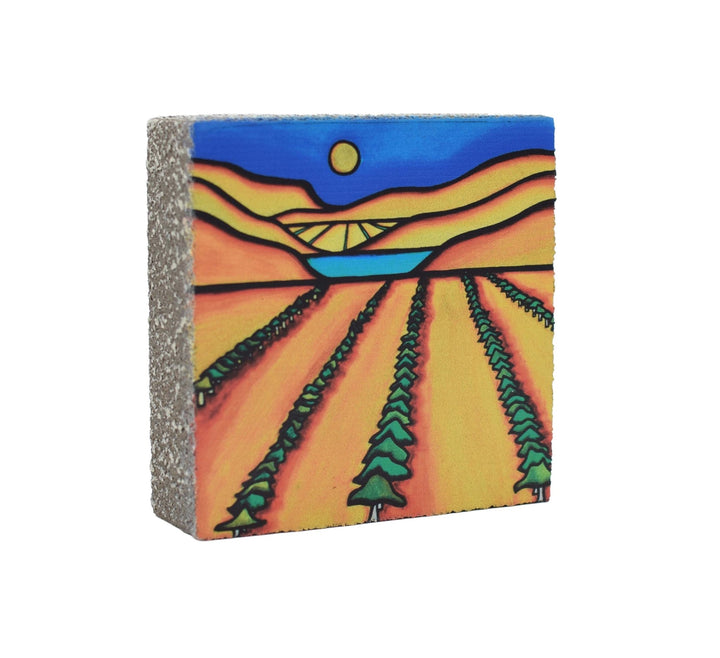 Art Block - Lost & Found - Directions Prairies - Cedar Mountain Studios