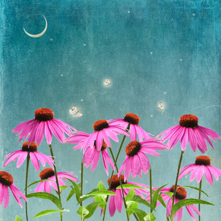 Art Block - Lost & Found - Fireflies - Cedar Mountain Studios
