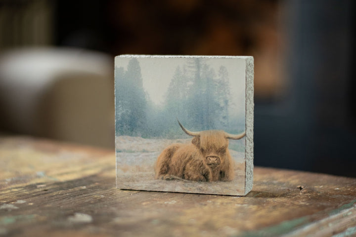 Art Block - Lost & Found - Highland at Rest - Cedar Mountain Studios