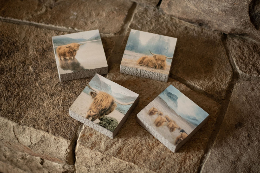 Art Block - Lost & Found - Highland Wading - Cedar Mountain Studios