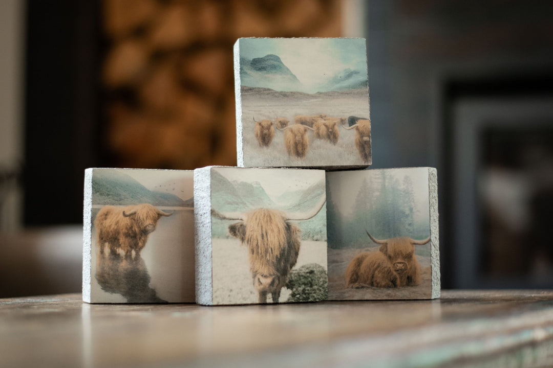 Art Block - Lost & Found - Highland Wading - Cedar Mountain Studios