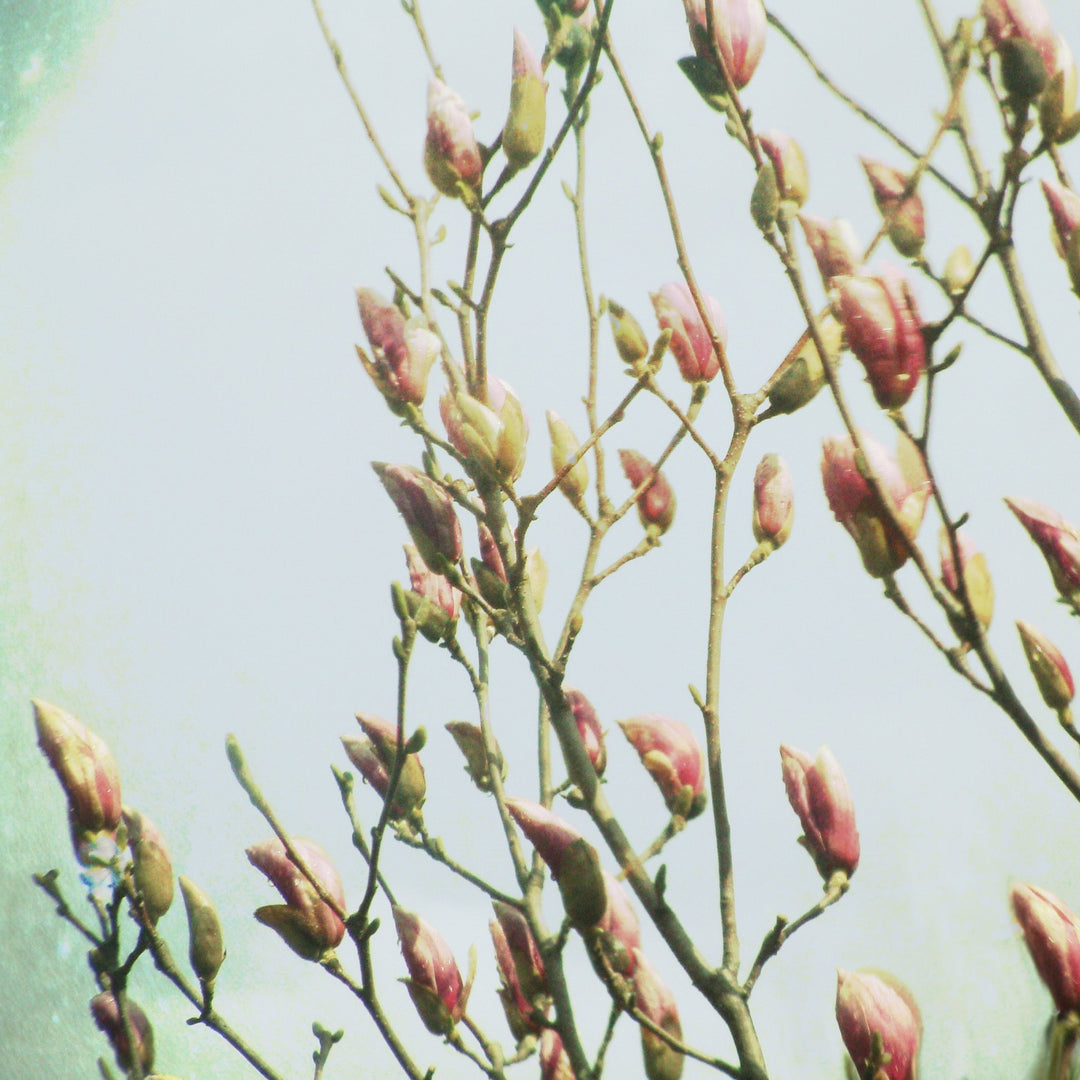 Art Block - Lost & Found - Memories of Spring - Cedar Mountain Studios