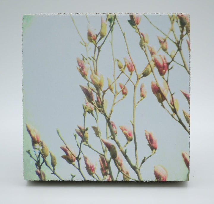 Art Block - Lost & Found - Memories of Spring - Cedar Mountain Studios