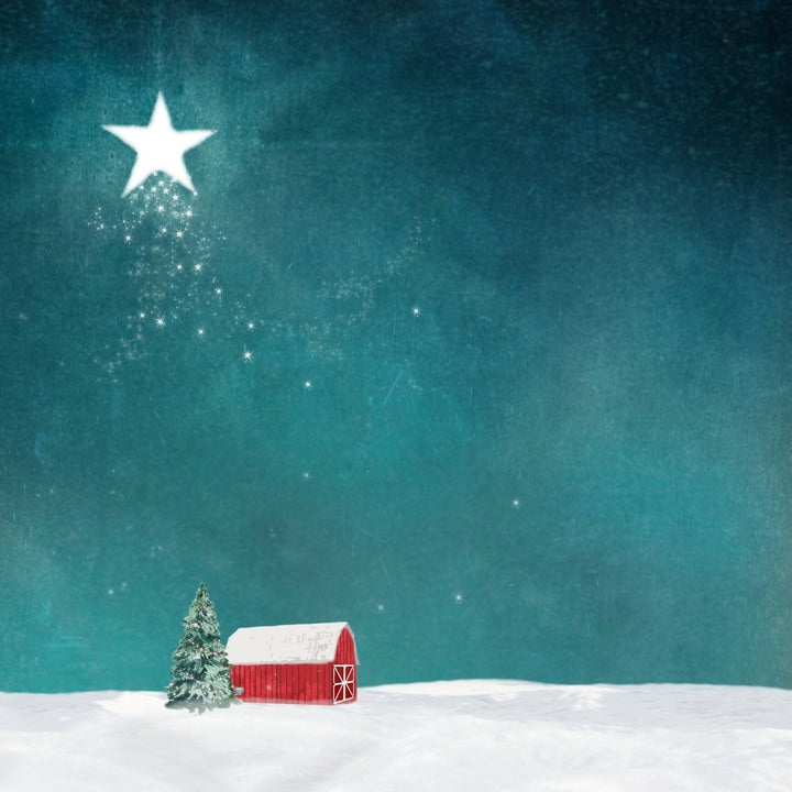 Art Block - Lost & Found - Night Star - Cedar Mountain Studios
