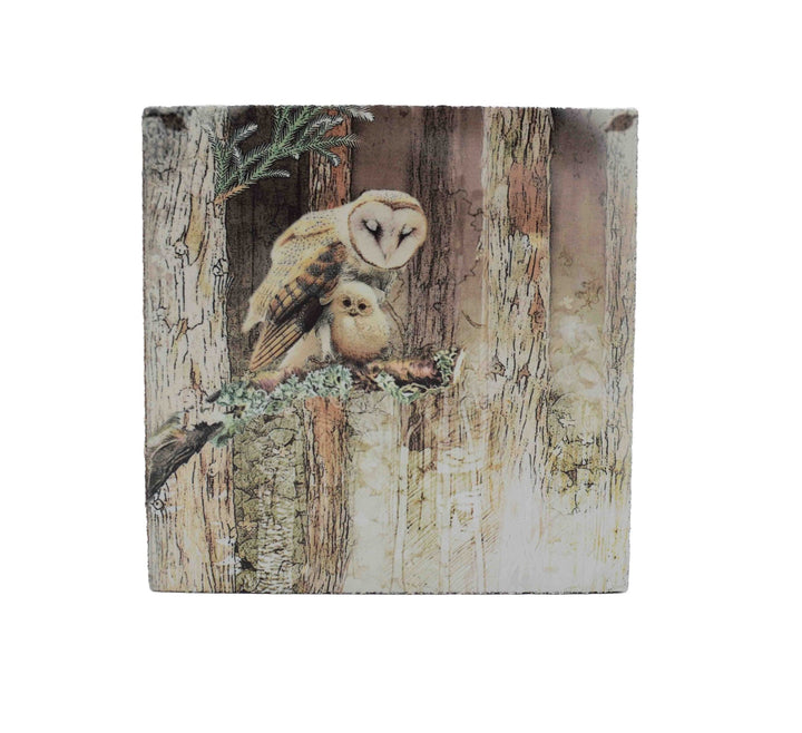 Art Block - Lost & Found - Owl and Owlet - Cedar Mountain Studios