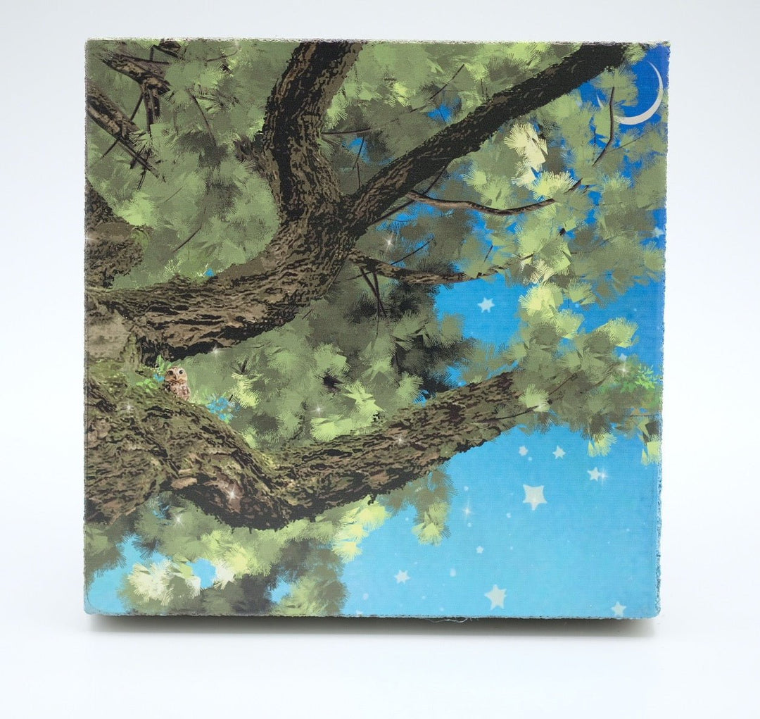 Art Block - Lost & Found - Stargazing - Cedar Mountain Studios