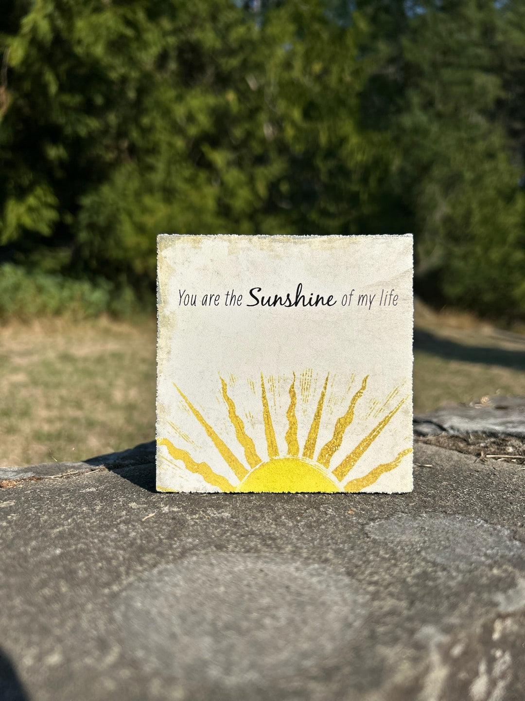 Art Block - Lost & Found - Sunshine - Cedar Mountain Studios