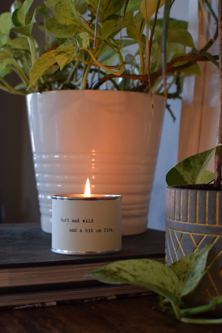 Candle - Little Gem - Soft And Wild - Cedar Mountain Studios