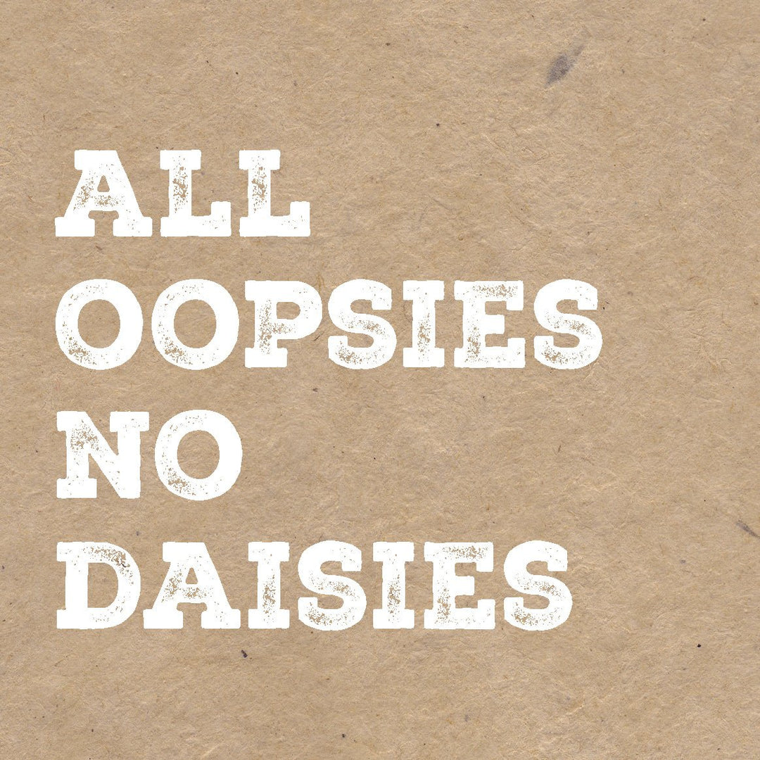 Coasters or Magnets - All Oopsies - Cedar Mountain Studios