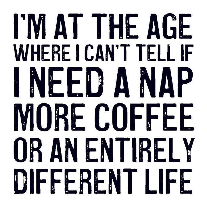 Coasters or Magnets - I'm at the age - Cedar Mountain Studios