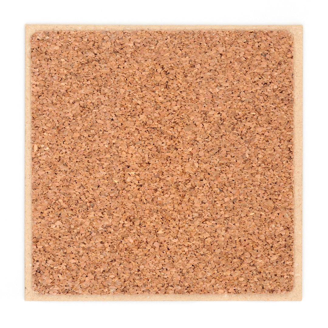 Coasters or Magnets - In the Absence of Truth - Cedar Mountain Studios