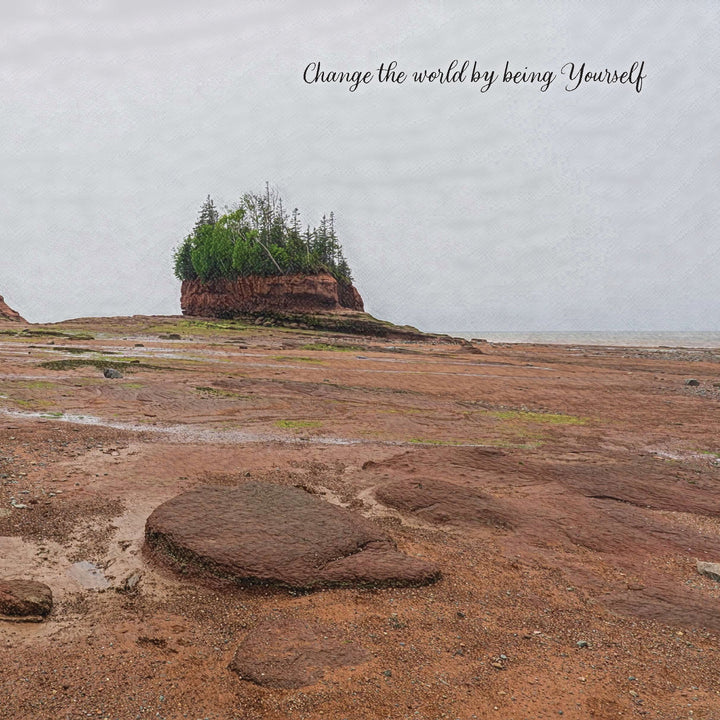 Compass Series - Change the World - Cedar Mountain Studios