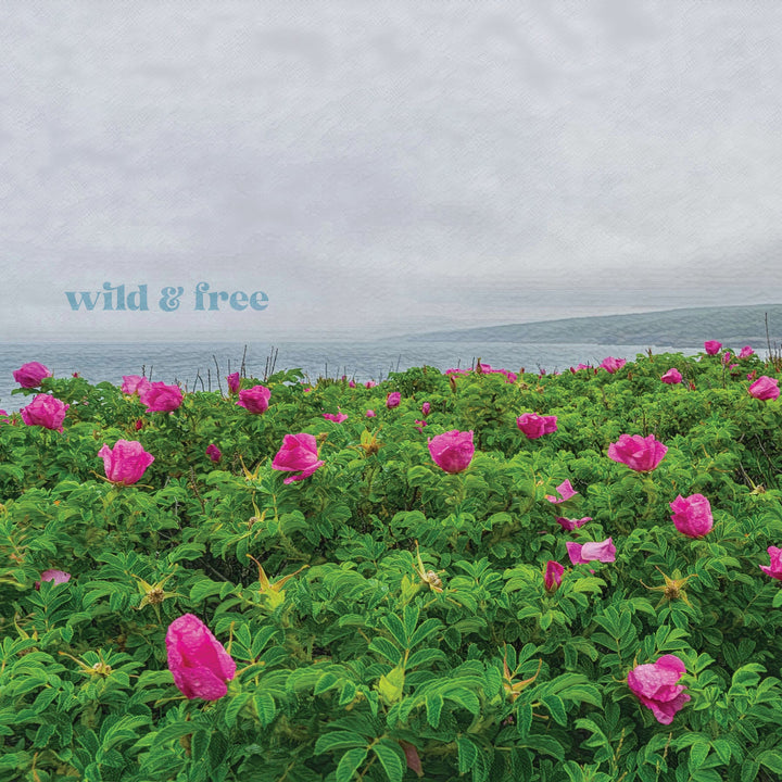 Compass Series - Wild & Free - Cedar Mountain Studios
