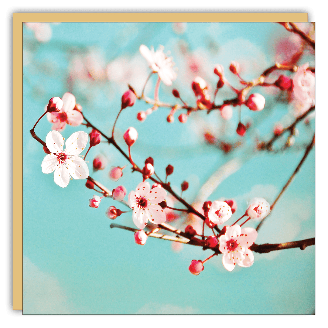 Gift Enclosure - Lost & Found - Blossoms - Cedar Mountain Studios