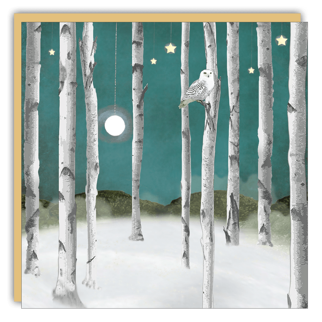 Keepsake Cards - Lost & Found Card - Michelle Ciarlo-Hayes - Snow Owl - Cedar Mountain Studios