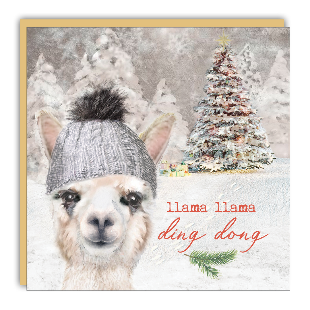 Little Notes - Lost & Found - Llama Llama Ding Dong