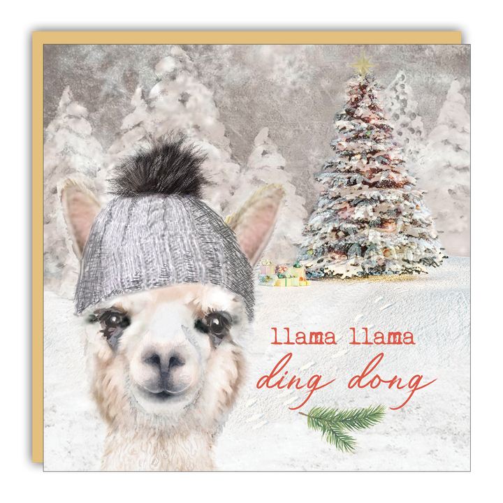 Little Notes - Lost & Found - Llama Llama Ding Dong