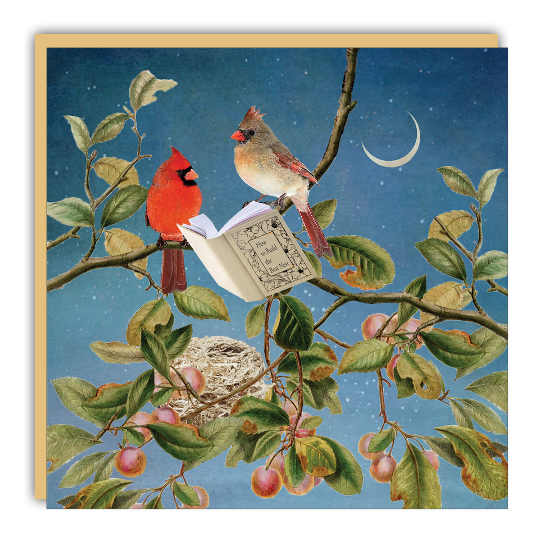Little Notes - Lost & Found - Michelle Ciarlo-Hayes - Reading Cardinals