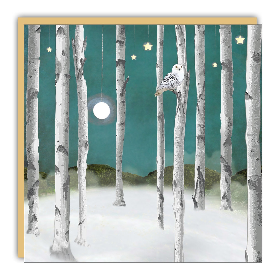 Little Notes - Lost & Found - Michelle Ciarlo-Hayes - Snow Owl