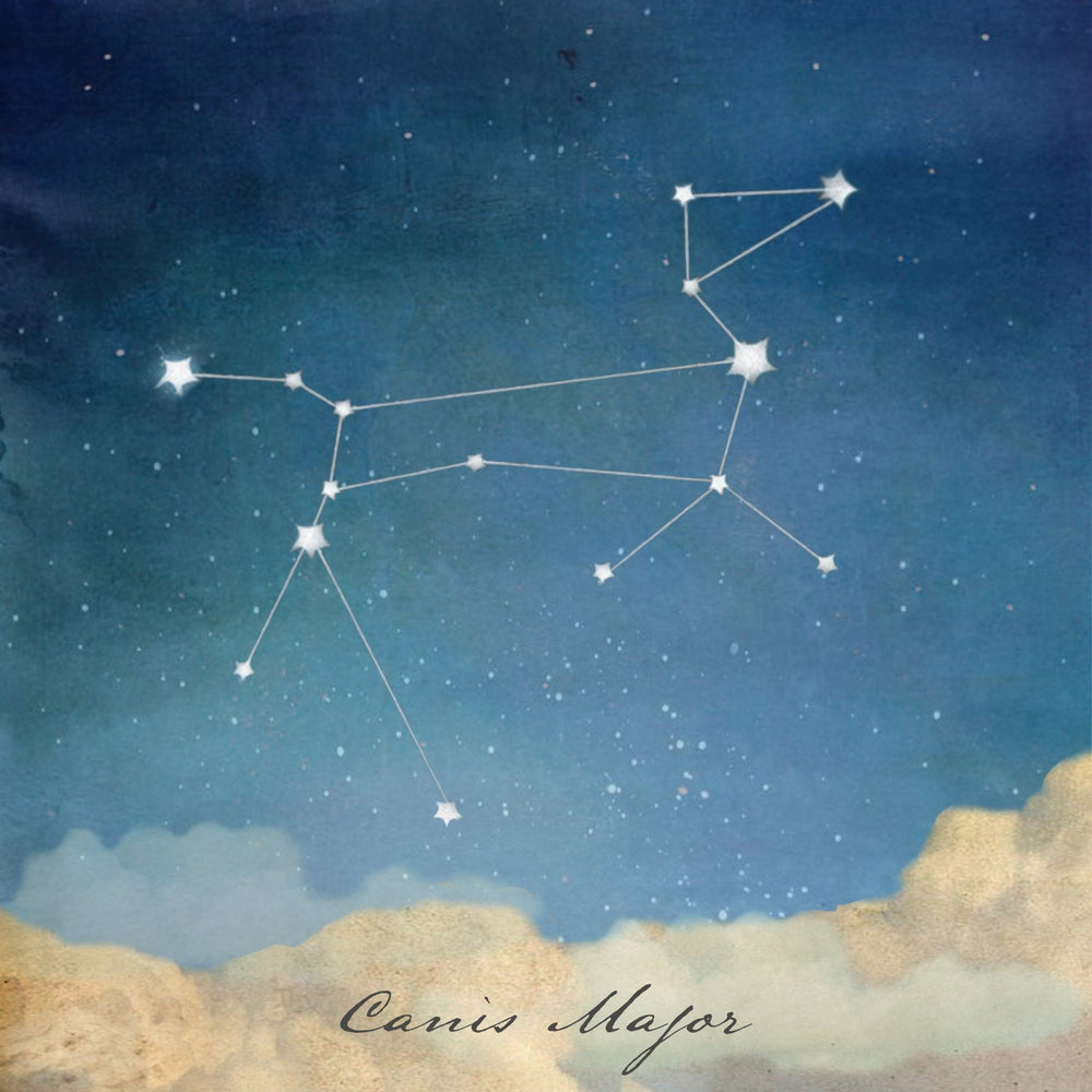 Stationery - Lost & Found Card - Canis Major - Cedar Mountain Studios