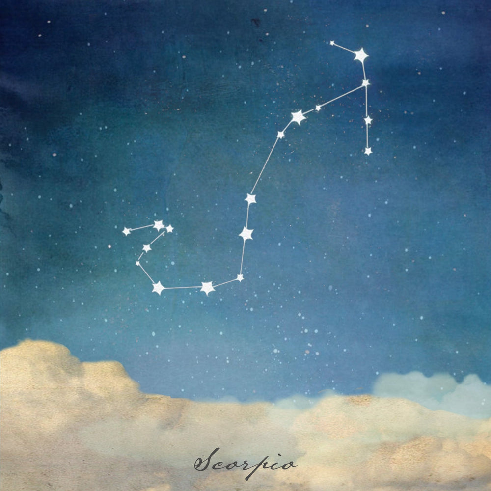 Stationery - Lost & Found Card - Scorpio Zodiac - Cedar Mountain Studios