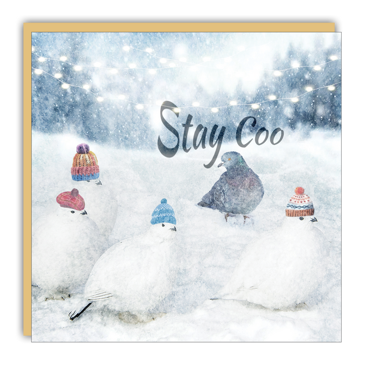 Little Notes - Lost & Found - Stay Coo