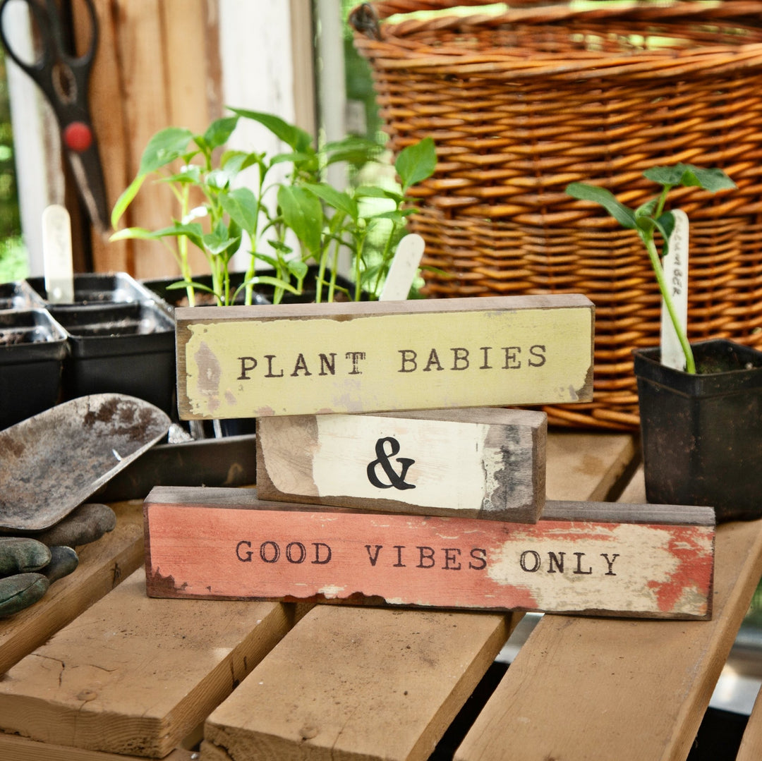 Plant Babies Timber Bit - Cedar Mountain Studios